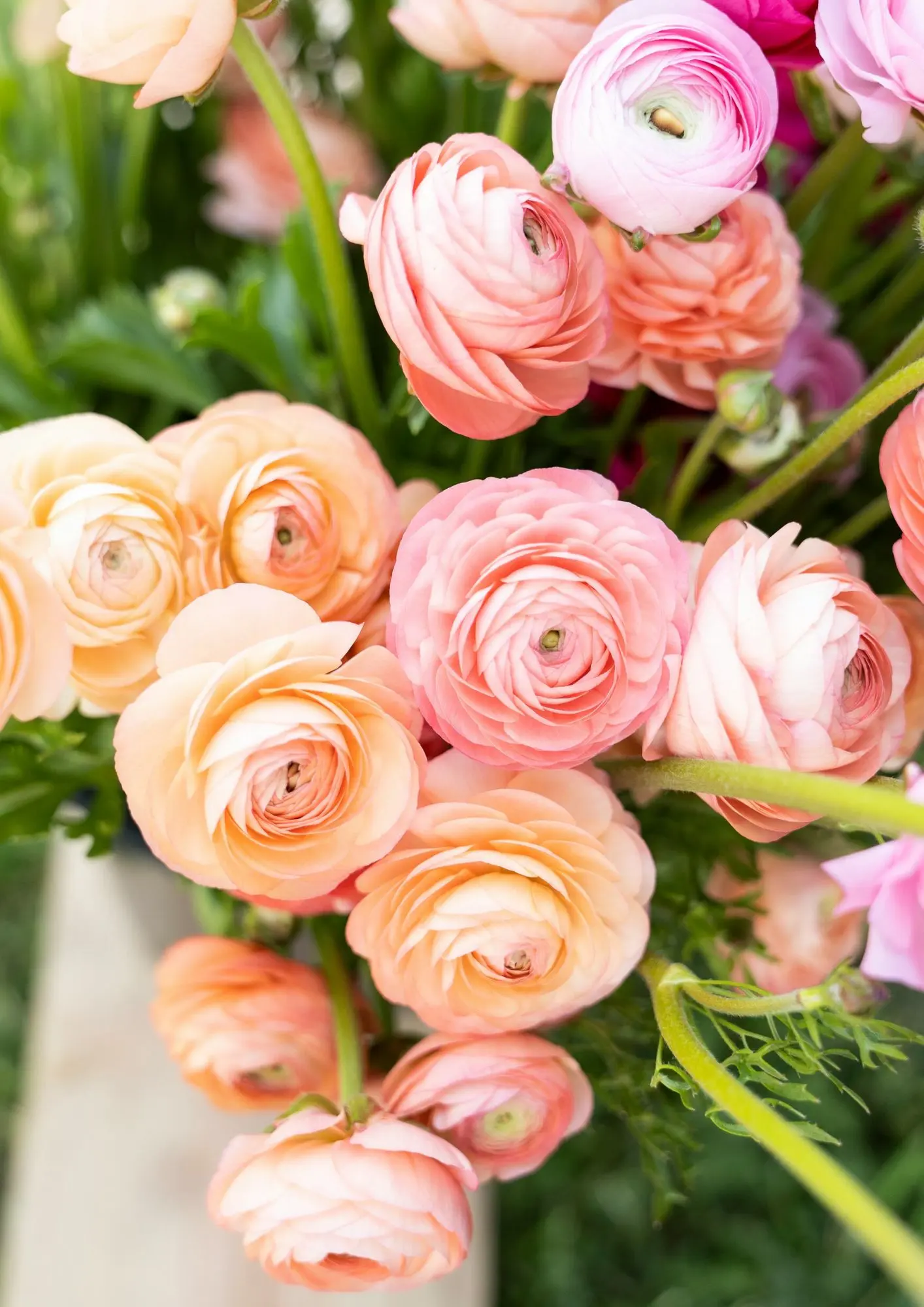 Beginners Flower Arranging Class  in Liverpool